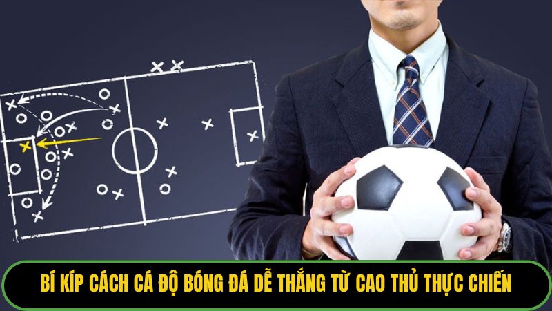 Cách Cá Độ Bóng Đá Dễ Thắng
