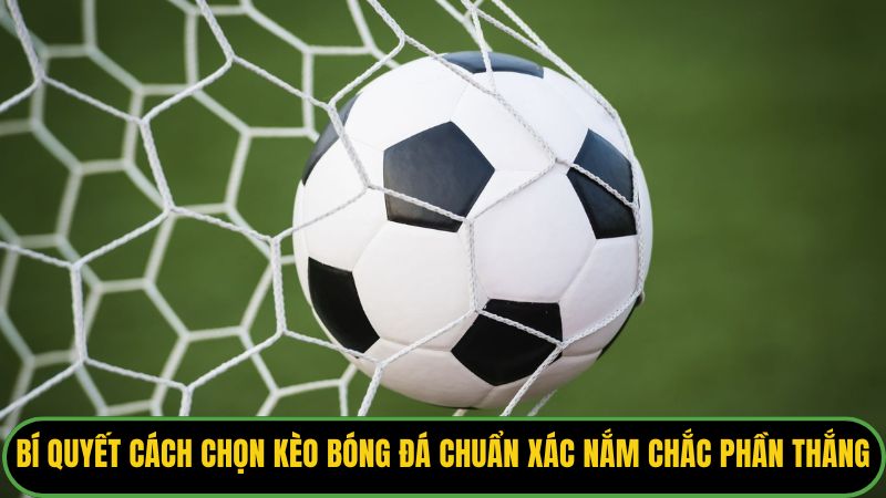 Cách Chọn Kèo Bóng Đá