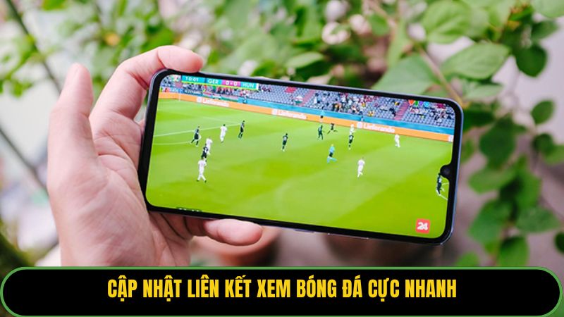 Cập nhật liên kết xem bóng đá cực nhanh