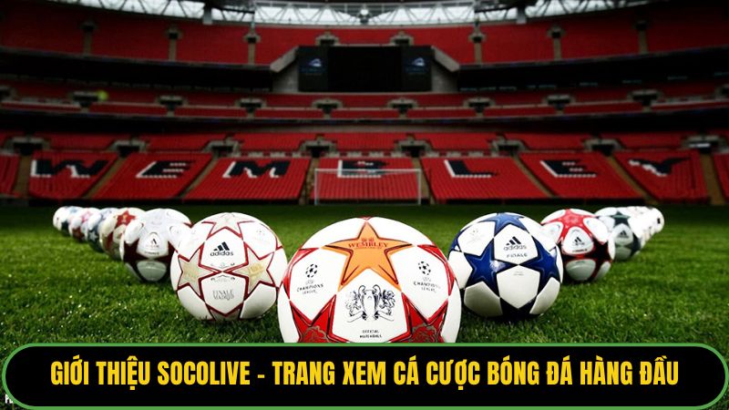 Giới thiệu Socolive - Trang xem cá cược bóng đá hàng đầu