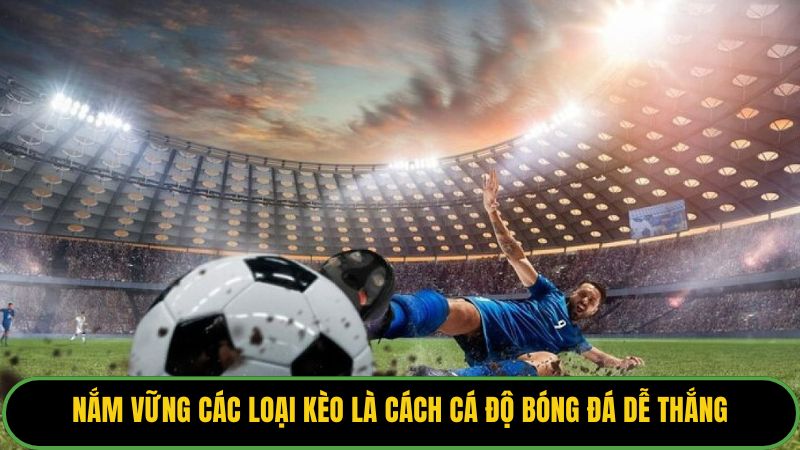 Nắm vững các loại kèo là cách cá độ bóng đá dễ thắng. 