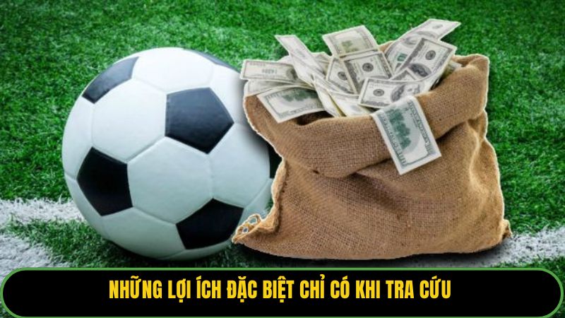 Những lợi ích đặc biệt chỉ có khi tra cứu 