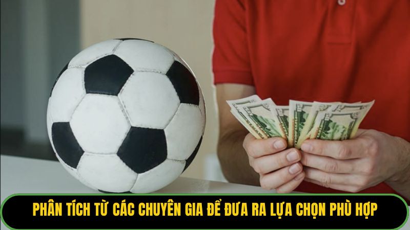 Phân tích từ các chuyên gia để đưa ra lựa chọn phù hợp
