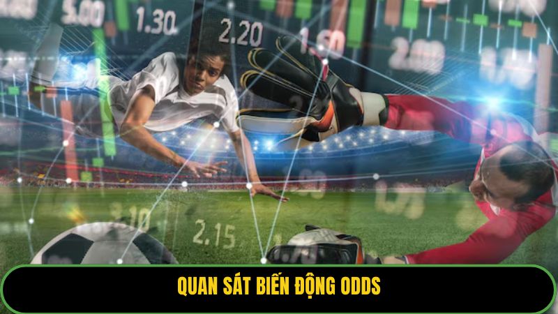 Quan sát biến động Odds