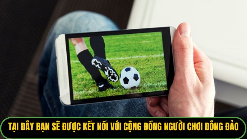 Tại đây bạn sẽ được kết nối với cộng đồng người chơi đông đảo