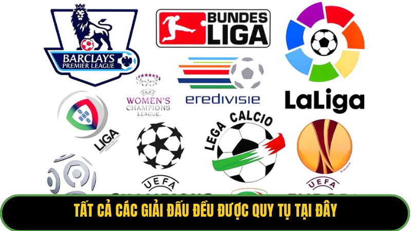 Tất cả các giải đấu đều được quy tụ tại đây